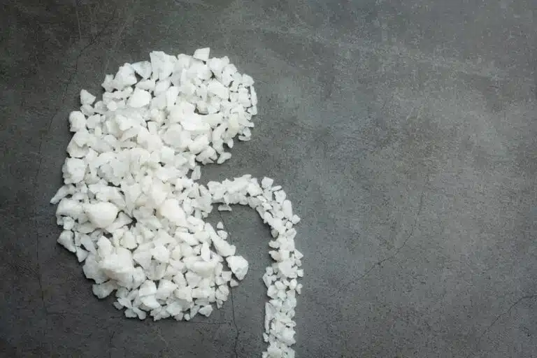 Las 5 enfermedades renales más comunes: Conócelas con NEFRUS